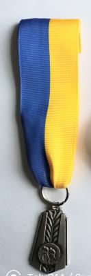 MEDAILLE ruban épingle veston 4 cm jaune/bleu